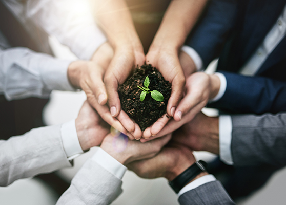 Several hands holding soil with a small green plant, symbolizing sustainability, growth and teamwork.